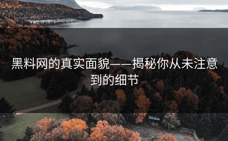 黑料网的真实面貌——揭秘你从未注意到的细节