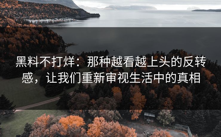 黑料不打烊：那种越看越上头的反转感，让我们重新审视生活中的真相