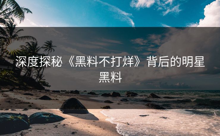深度探秘《黑料不打烊》背后的明星黑料