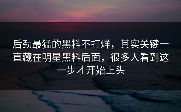 后劲最猛的黑料不打烊，其实关键一直藏在明星黑料后面，很多人看到这一步才开始上头
