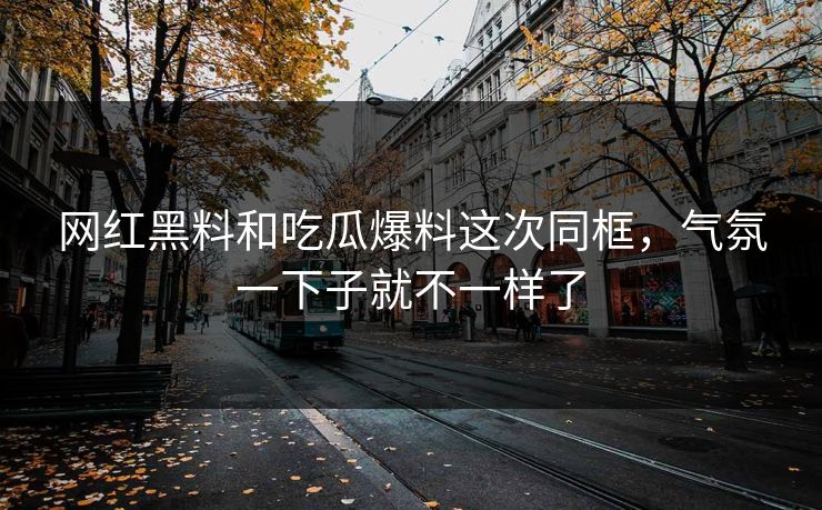 网红黑料和吃瓜爆料这次同框，气氛一下子就不一样了