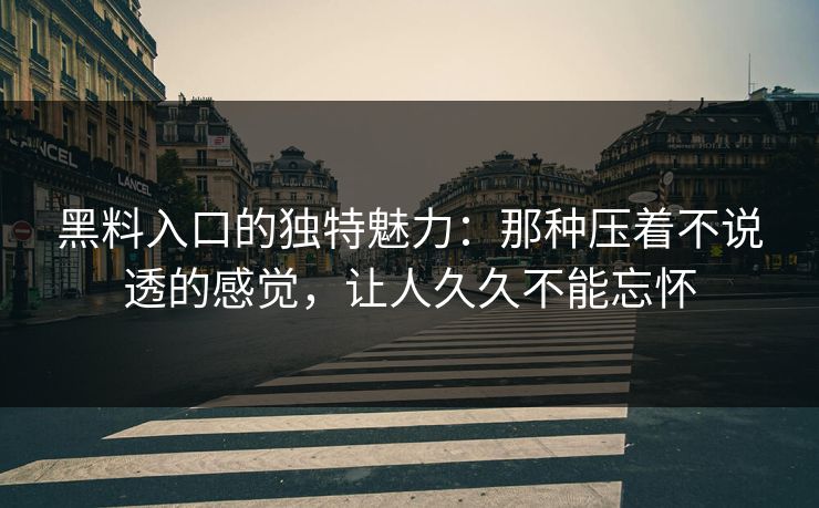 黑料入口的独特魅力：那种压着不说透的感觉，让人久久不能忘怀