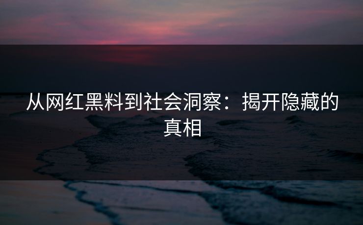 从网红黑料到社会洞察：揭开隐藏的真相