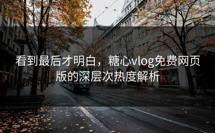 看到最后才明白，糖心vlog免费网页版的深层次热度解析  第1张
