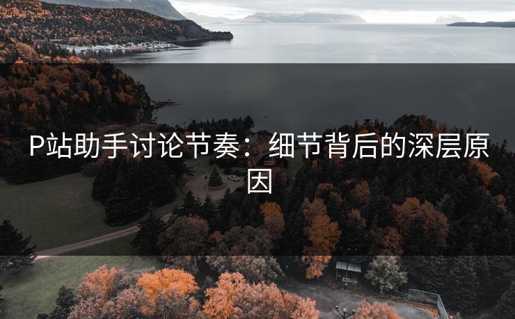 P站助手讨论节奏：细节背后的深层原因